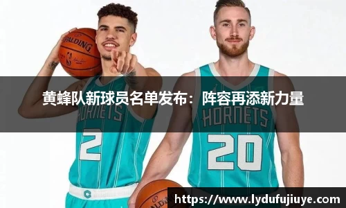黄蜂队新球员名单发布：阵容再添新力量